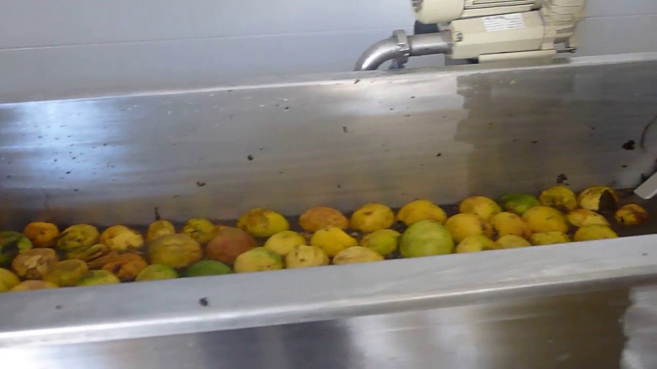 Línea de despulpado de frutas- Equipacero Industrial