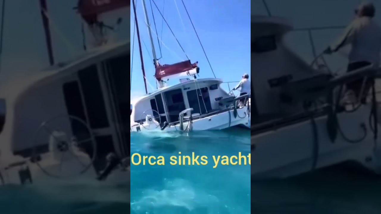 Orca sinks yacht in the straight of Gibraltar caught on camera