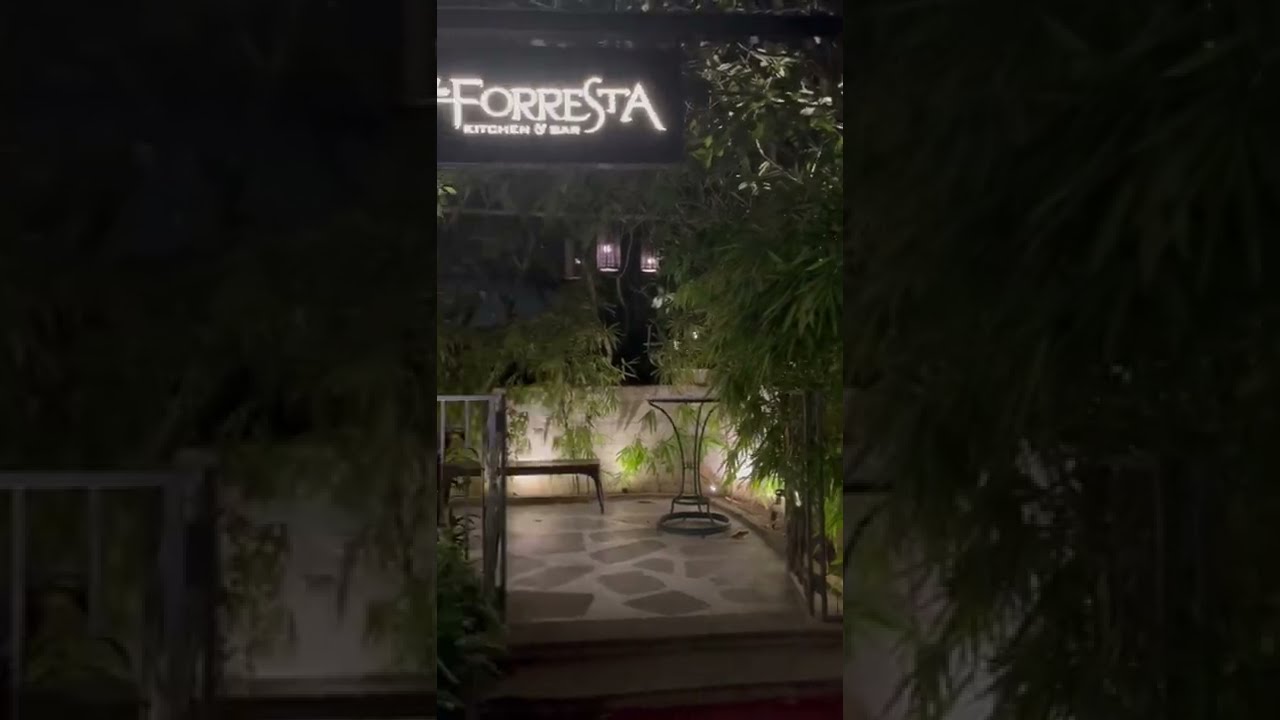 Must visit place in Jaipur | The Forresta | Bar & Kitchen