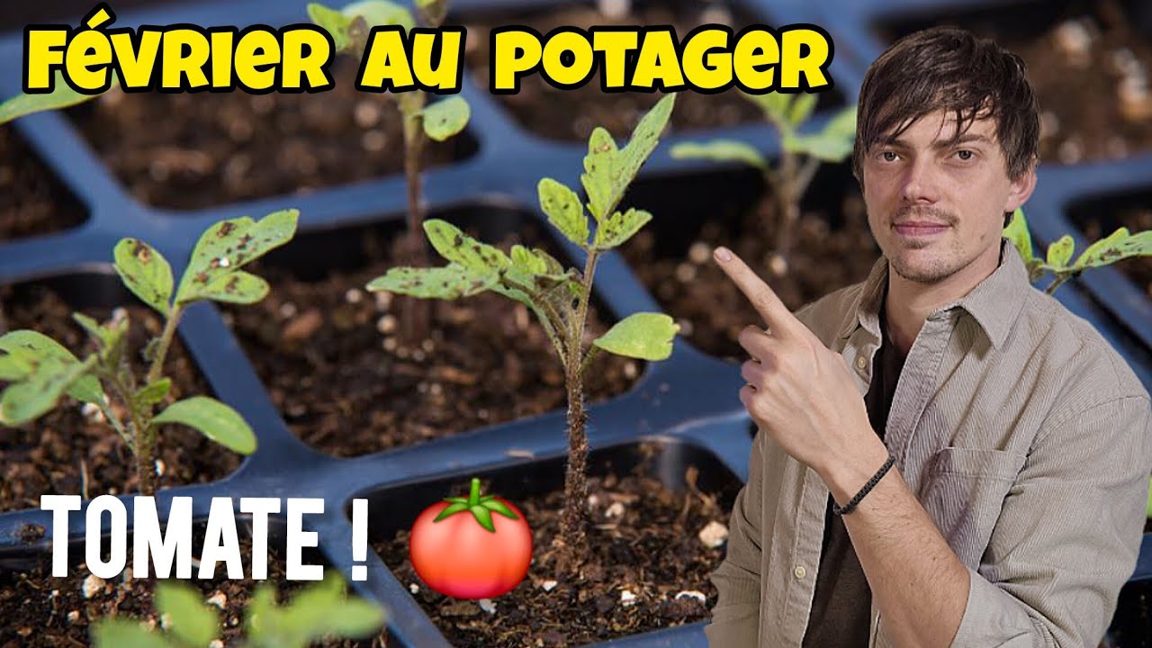 Que SEMER et planter en FÉVRIER au potager