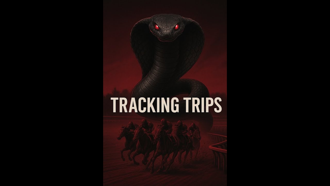 A High Level Look at the Harlan's Holiday with Thorograph Numbers and Patterns