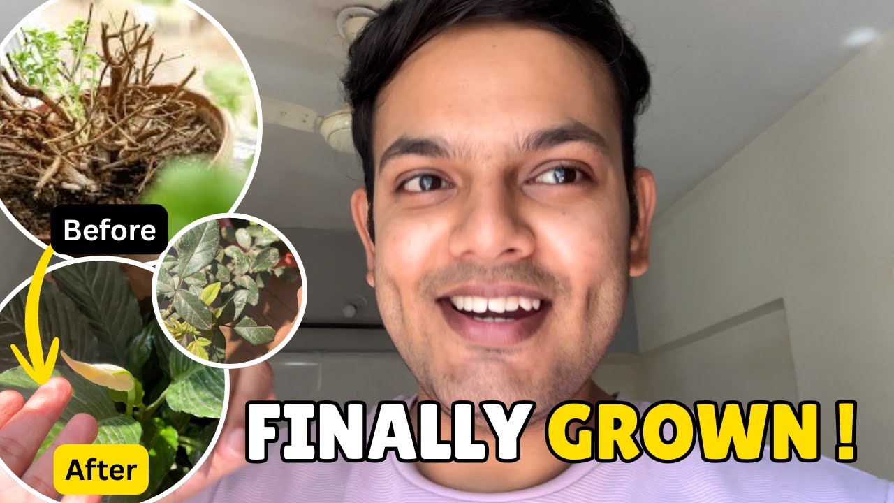 Bahut Mushkil Ke Baad… Plants Finally Grow Ho Gaye 🌱