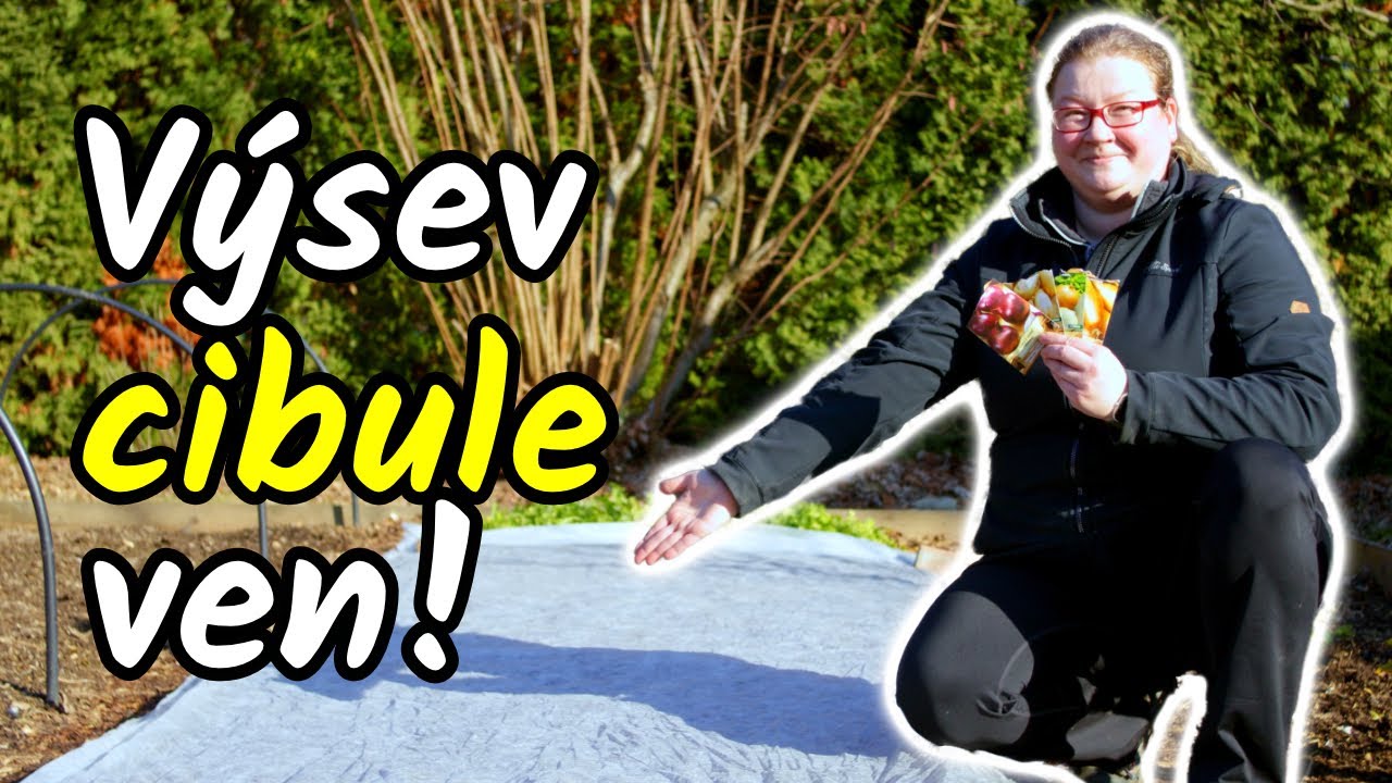 ⏰🧅Jak na VÝSEV CIBULE na venkovní záhon? Proč volím tento způsob pěstování?