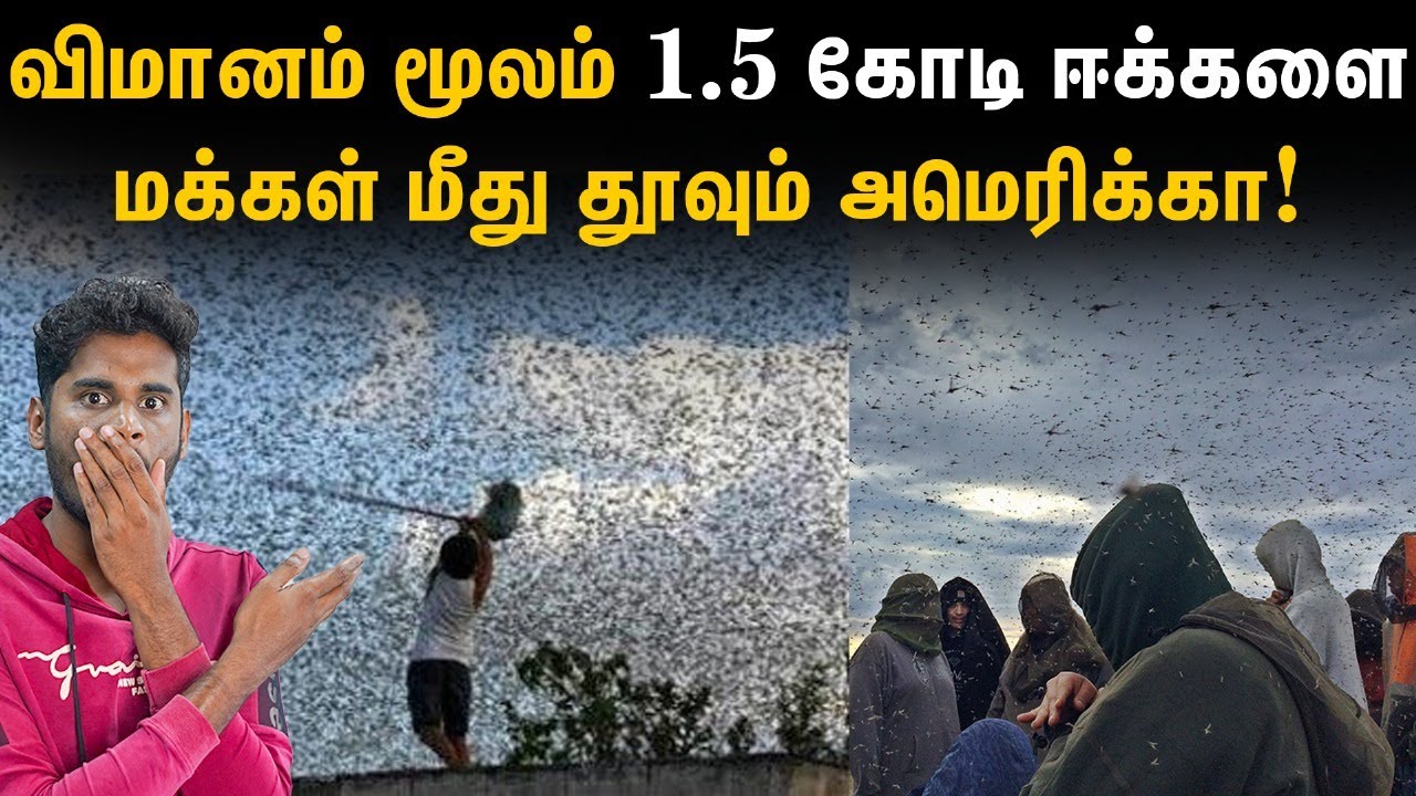 செயற்கை ஈக்களை எதுக்காக உருவாக்கணும்?! | Why America throws 1147 crore houseflies over Panama