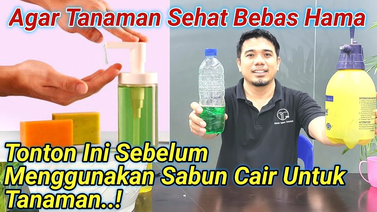 Harus Tahu! Cara Menggunakan Sabun Cair Untuk Tanaman Yang Baik dan Benar, Pestisida Organik