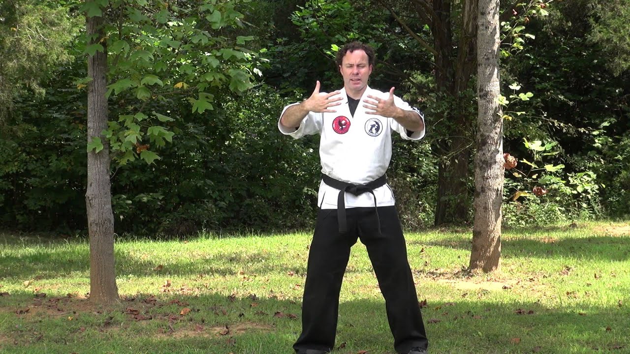 Iron Shirt Chi Kung 1