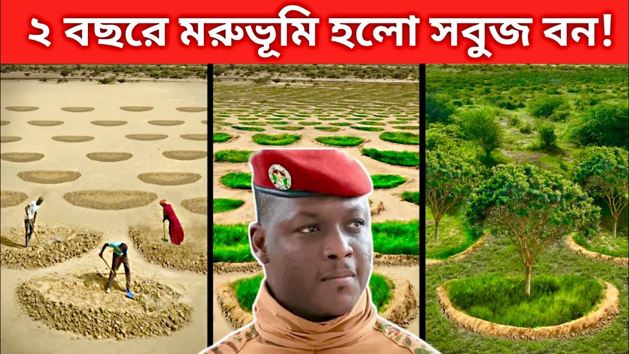 মাত্র ২ বছরে মরুভূমি বদলে গেল সবুজ বনে! আফ্রিকার অবিশ্বাস্য প্রকল্প