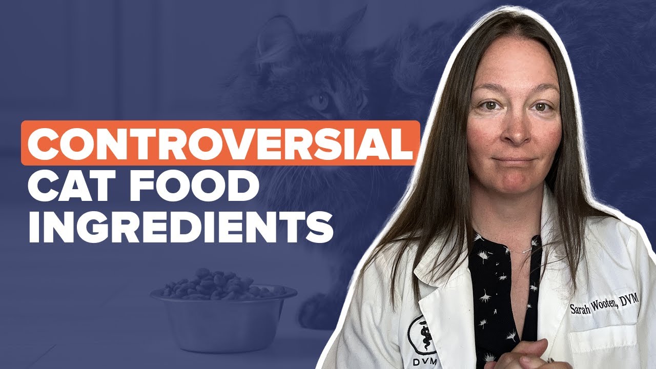 9 Cat Food Ingredients to Avoid