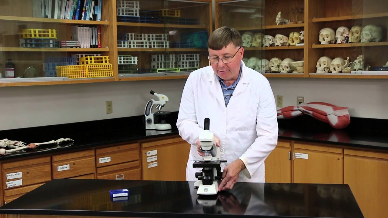 How to use a Compound Microscope