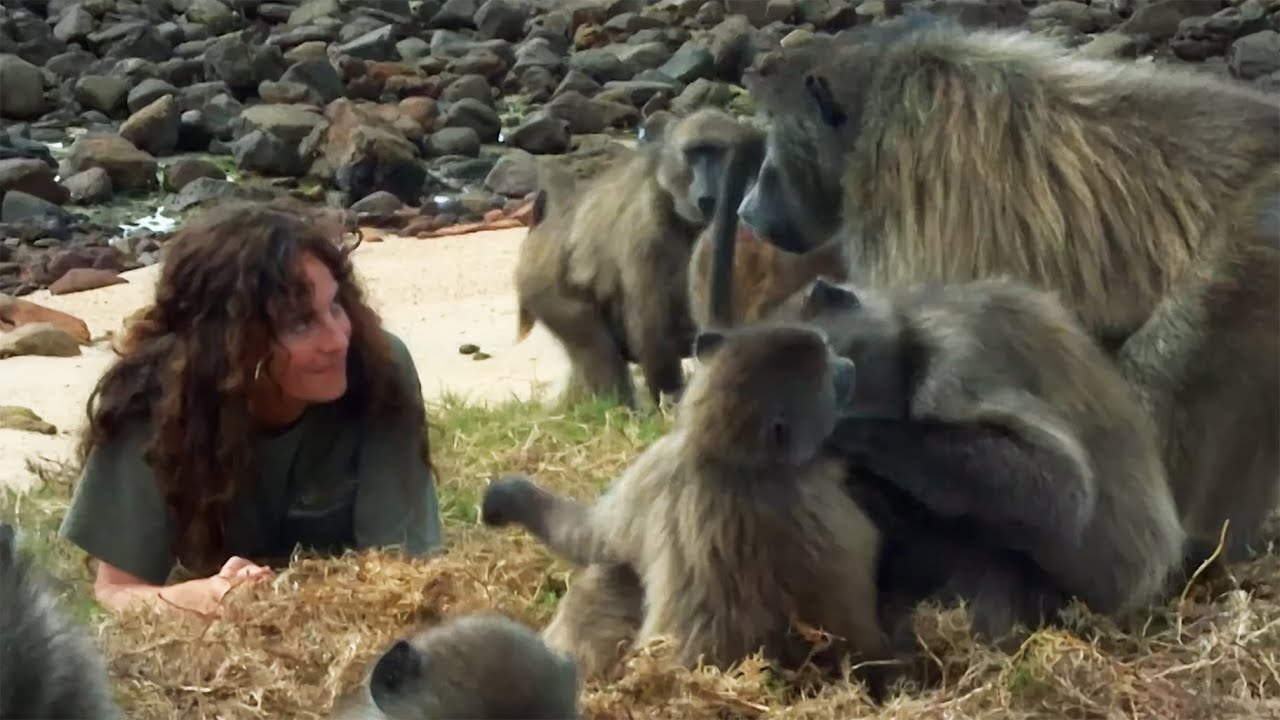 How to Talk to Animals | The Animal Communicator: Anna Breytenbach