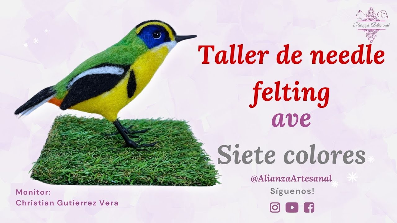 Ave de siete colores tutorial de fieltro agujado #needlefelting #fieltroagujado  #vellonagujado