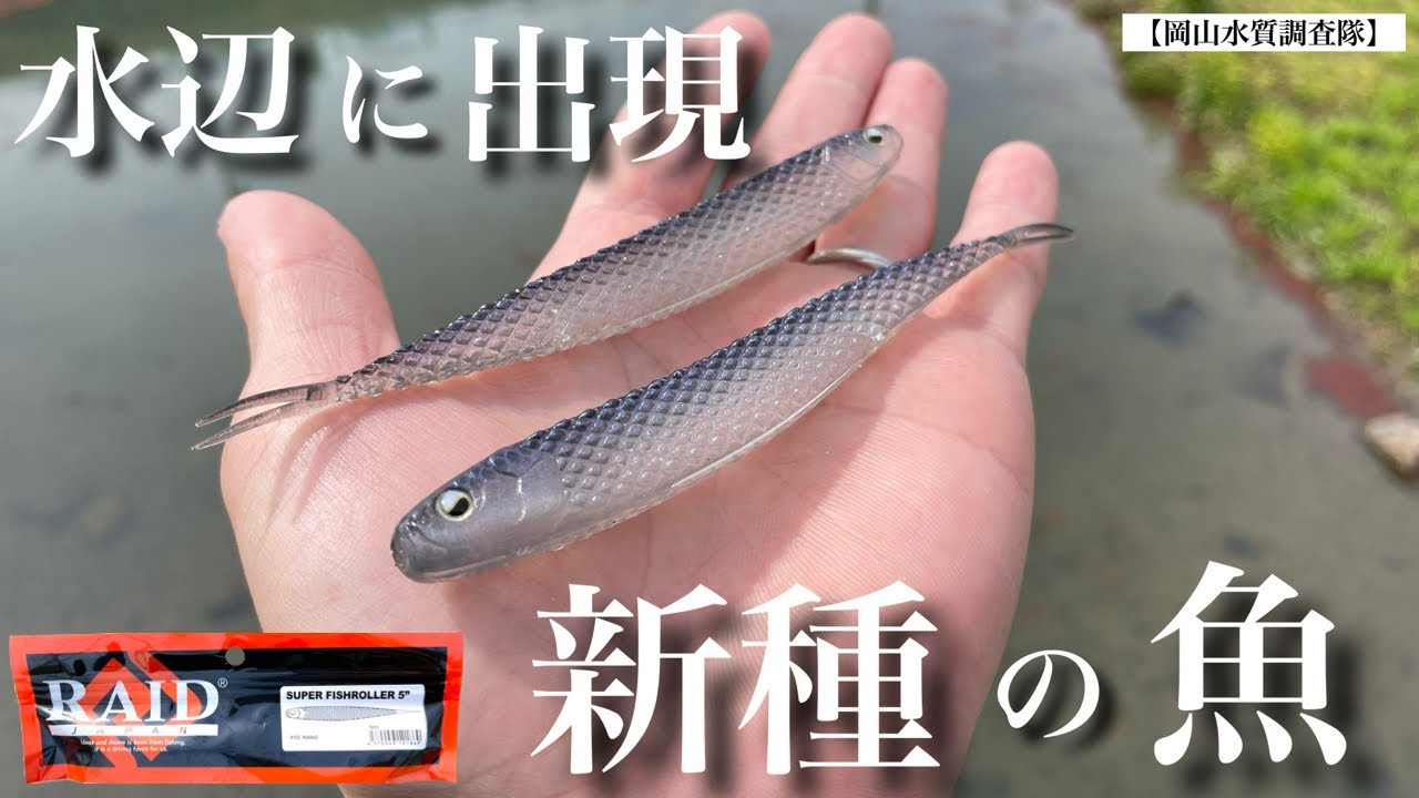 【バス釣り】スーパーフィッシュローラー！レイドジャパン2024年の新製品を使ってみたが、めちゃくちゃ『〇〇〇』な感じでした。　水中アクション　動き　重さ　使い方　ミドスト　ホバスト　バマスト　ピクピク