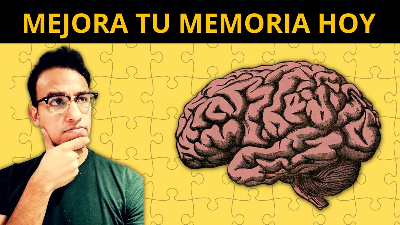 Hábitos para NO PERDER tu MEMORIA: Mejora tu memoria
