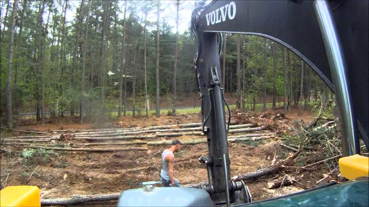 Excavator Clearing More Trees