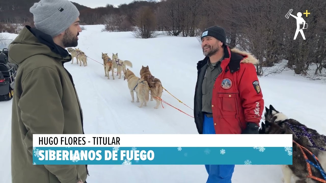 Perros siberianos en el FIN DEL MUNDO
