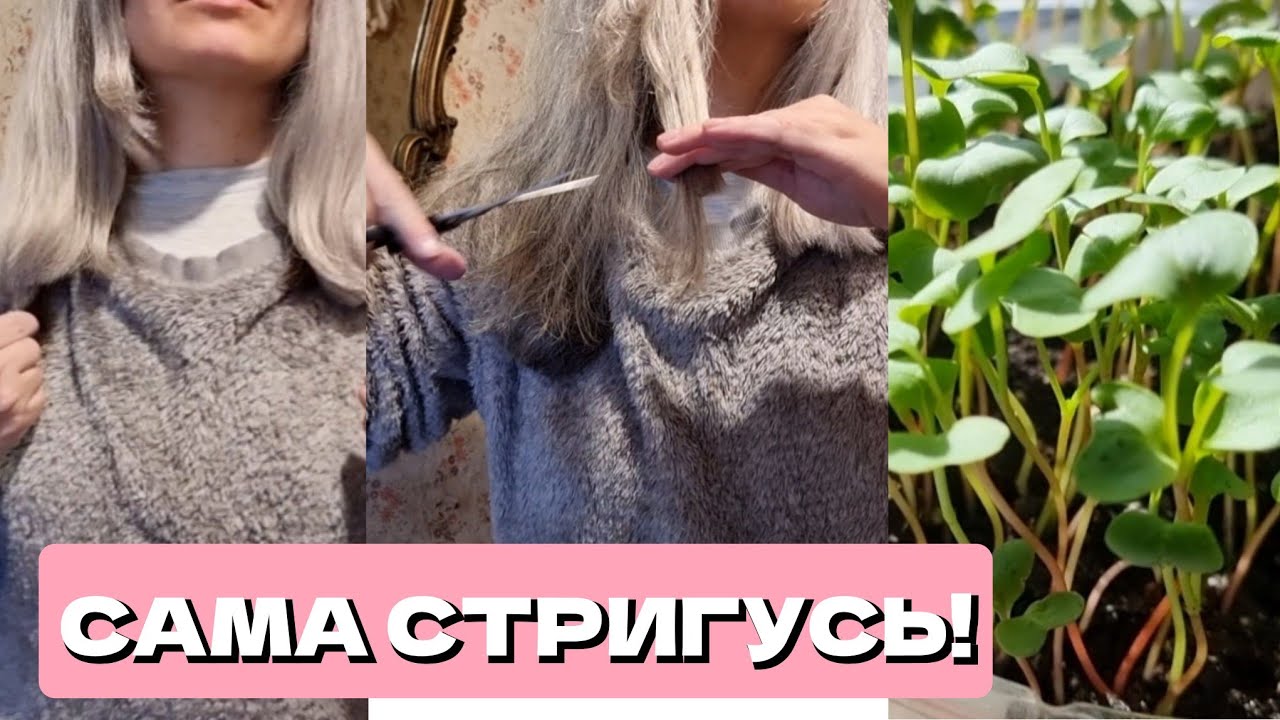 10. В САЛОНЫ НЕ ХОЖУ! САМА СТРИГУСЬ! У МУЖА НЕ ЛАДИТСЯ! РАССАДА ВЫМАХАЛА, ЧТО ТЕПЕРЬ ДЕЛАТЬ!?