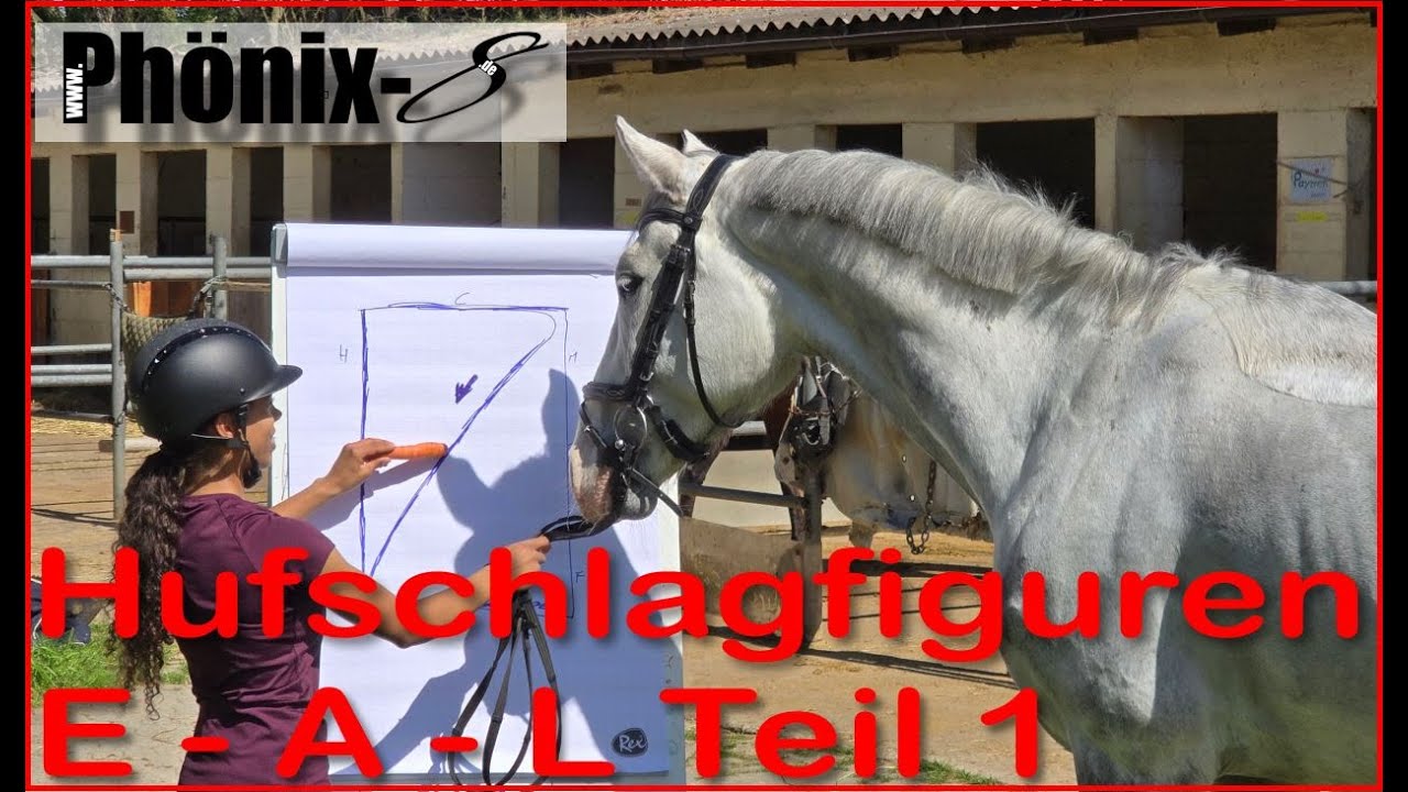 Reiten in die Spur gebracht - Grundlegende Hufschlagfiguren Teil 1