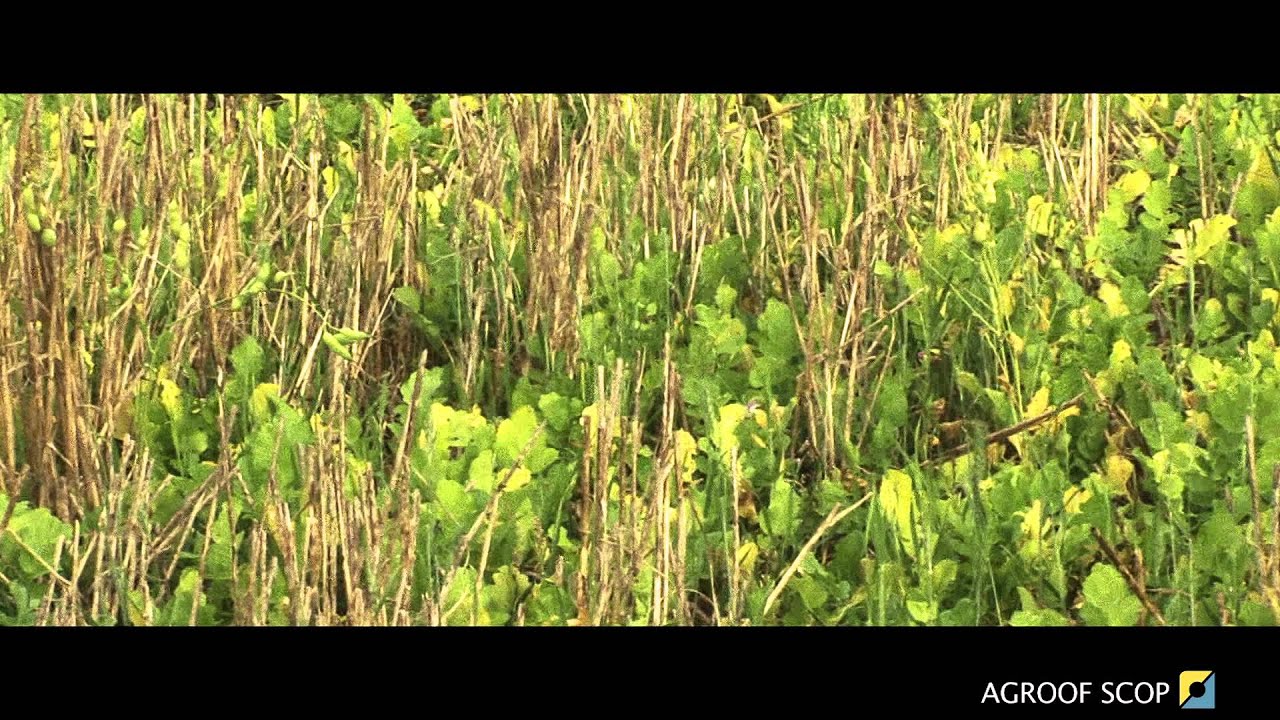 AGROFORESTERIE enjeux et perspectives - PARTIE 1