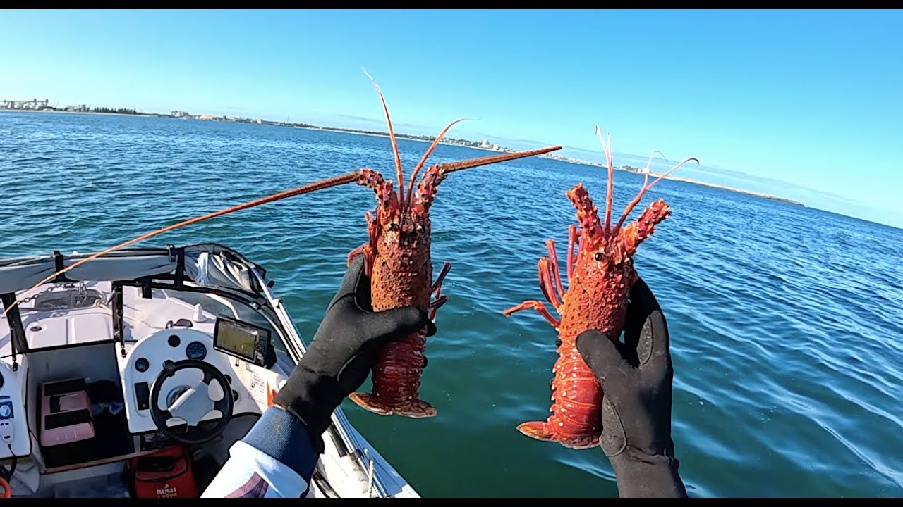 Crayfish pot fishing off Bunbury Western Australia II 25/26