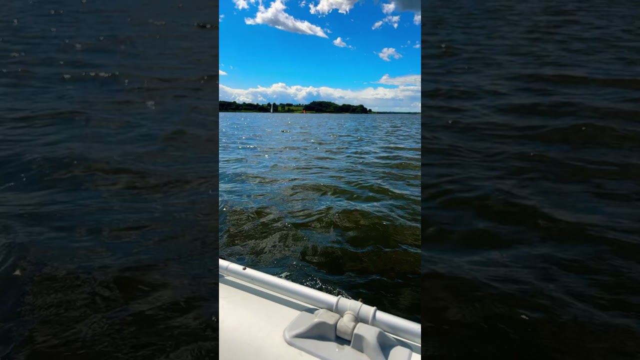 RIB Schlauchboot mit Rhino VX54 