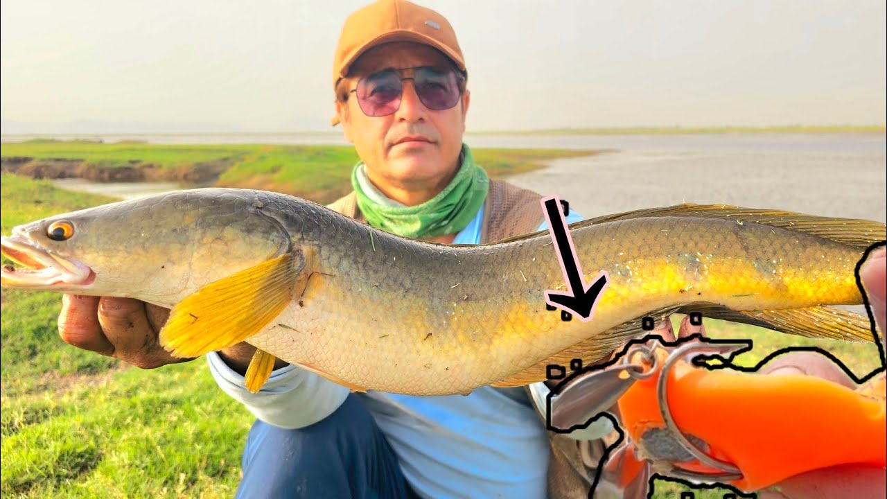 Ese karne se bite hogi || Big fishing video || snakehead fishing
