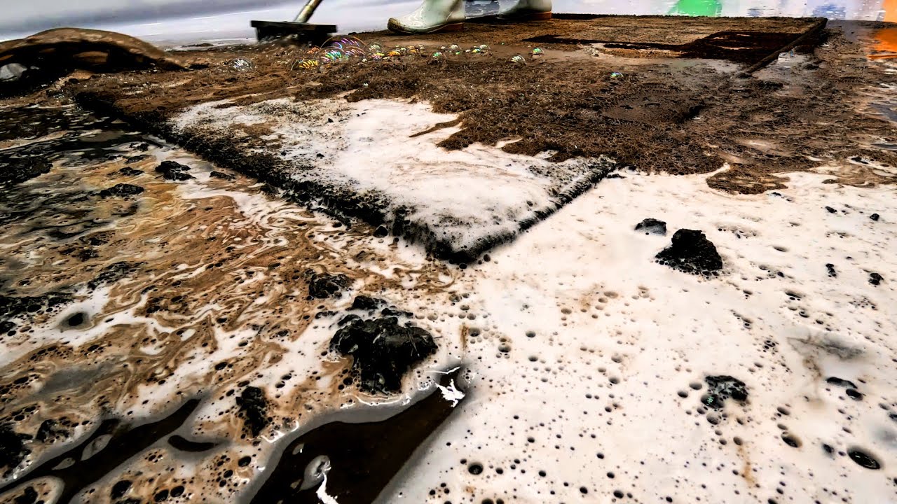 The Rug You Thought Was Gone – ASMR Restoration Story