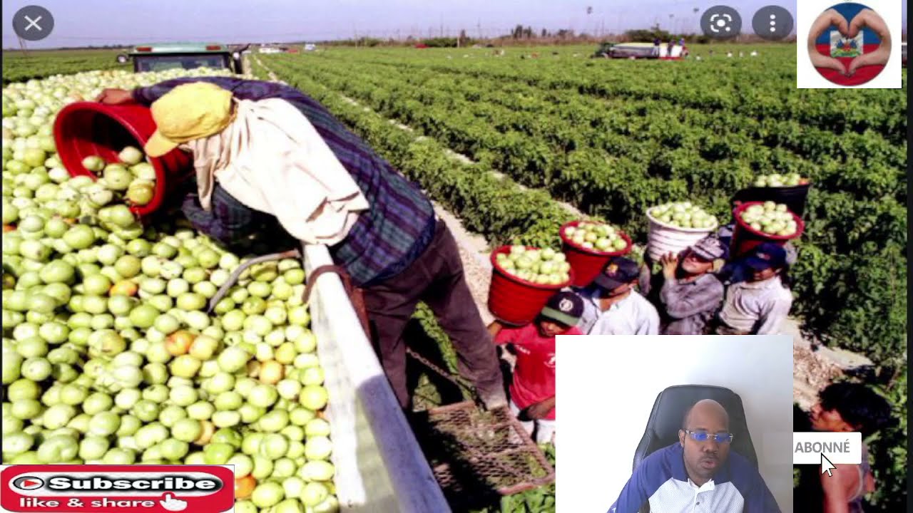 immigration te ka ede compagnie yo avek plizy&egrave; milyon job opening ki genyen kounye a
