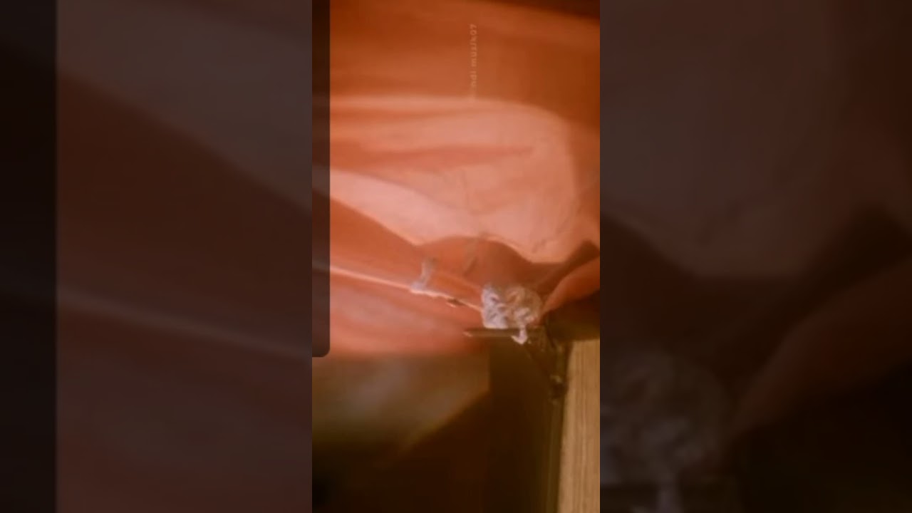 1942 a love story movie 1994| unknown facts story and budget| 