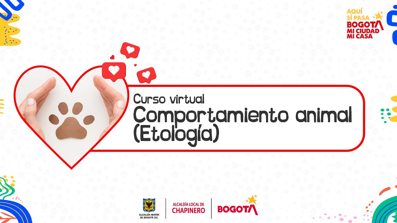 Curso virtual de Comportamiento Animal (Etolog&iacute;a)