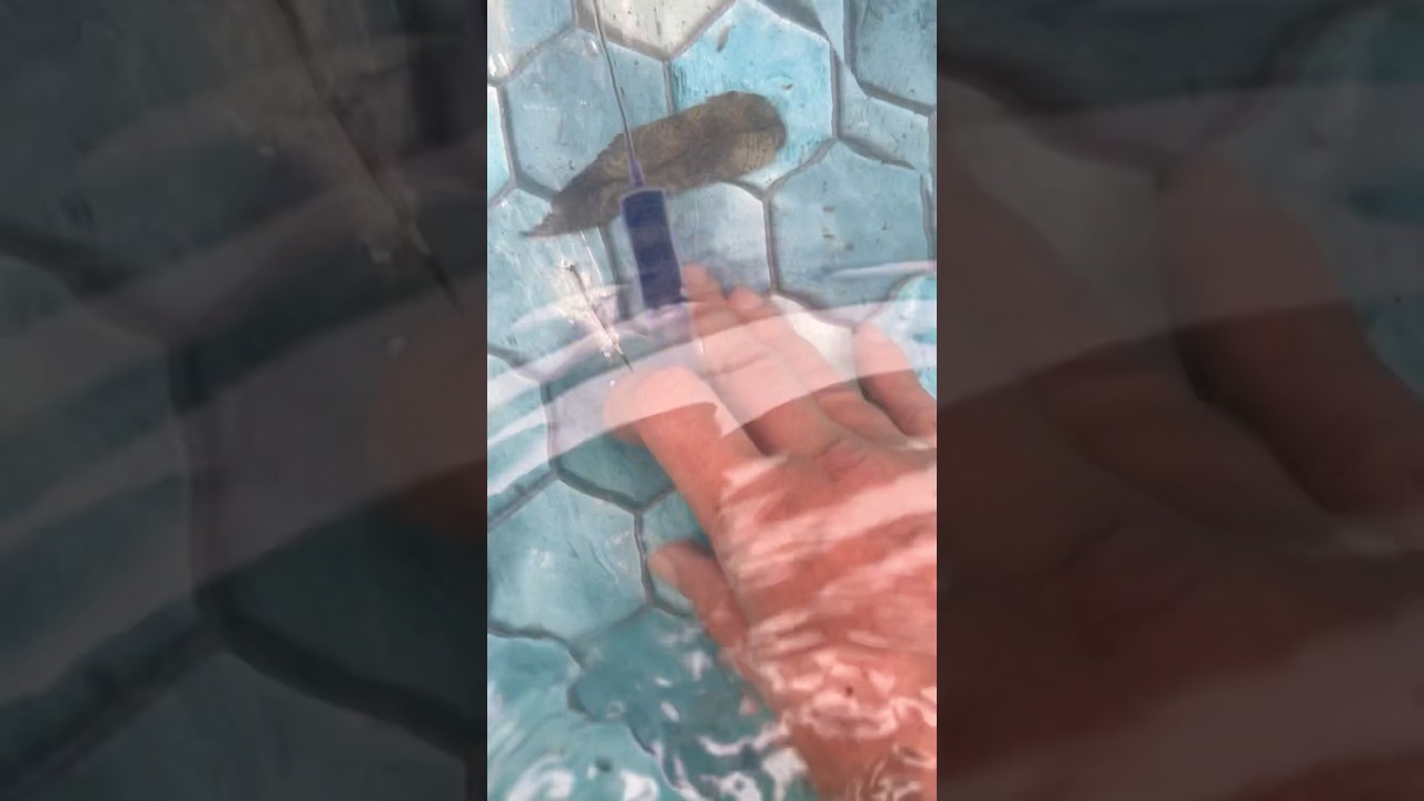 Above ground pool leak detection
