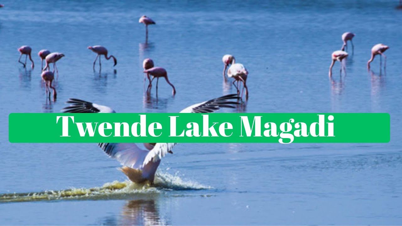 Lake Magadi Awaits! A Journey into Kenya&rsquo;s Natural Wonder