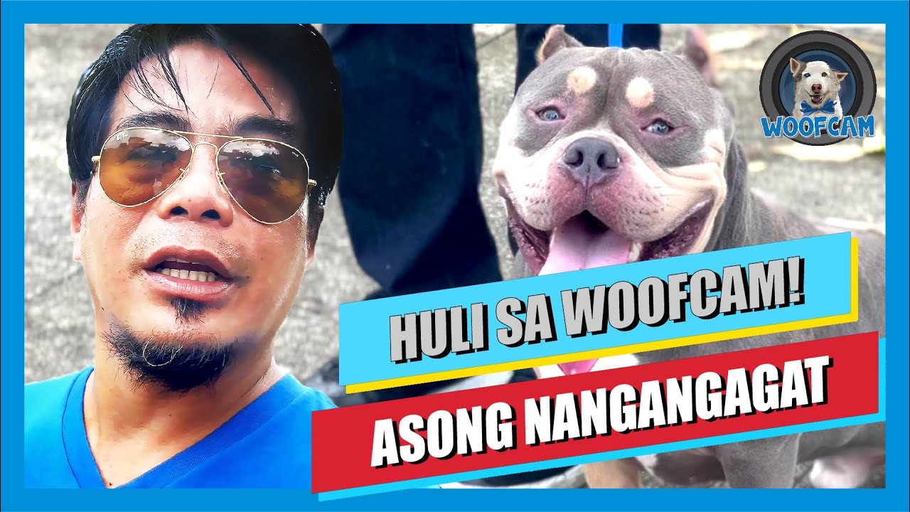 WOOFCAM: Asong Nangangagat (Bully bites!)