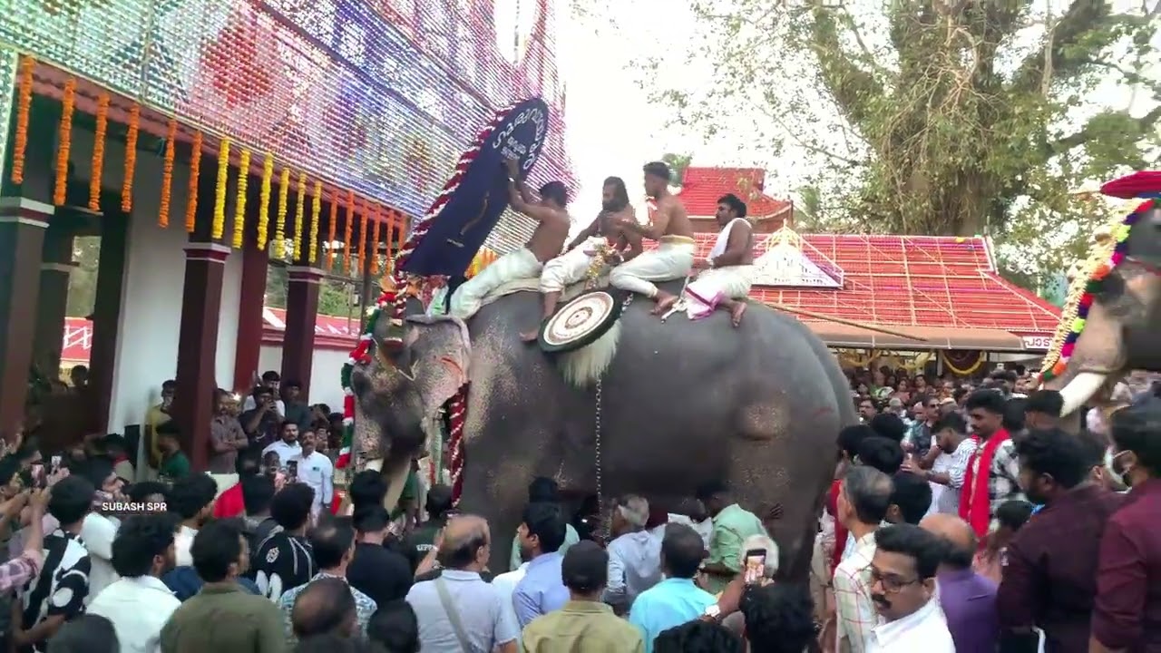 Thechikottukaavu Pooram 2026#thechikottukavu #thechikottukavuramachandran #festival #pooram 