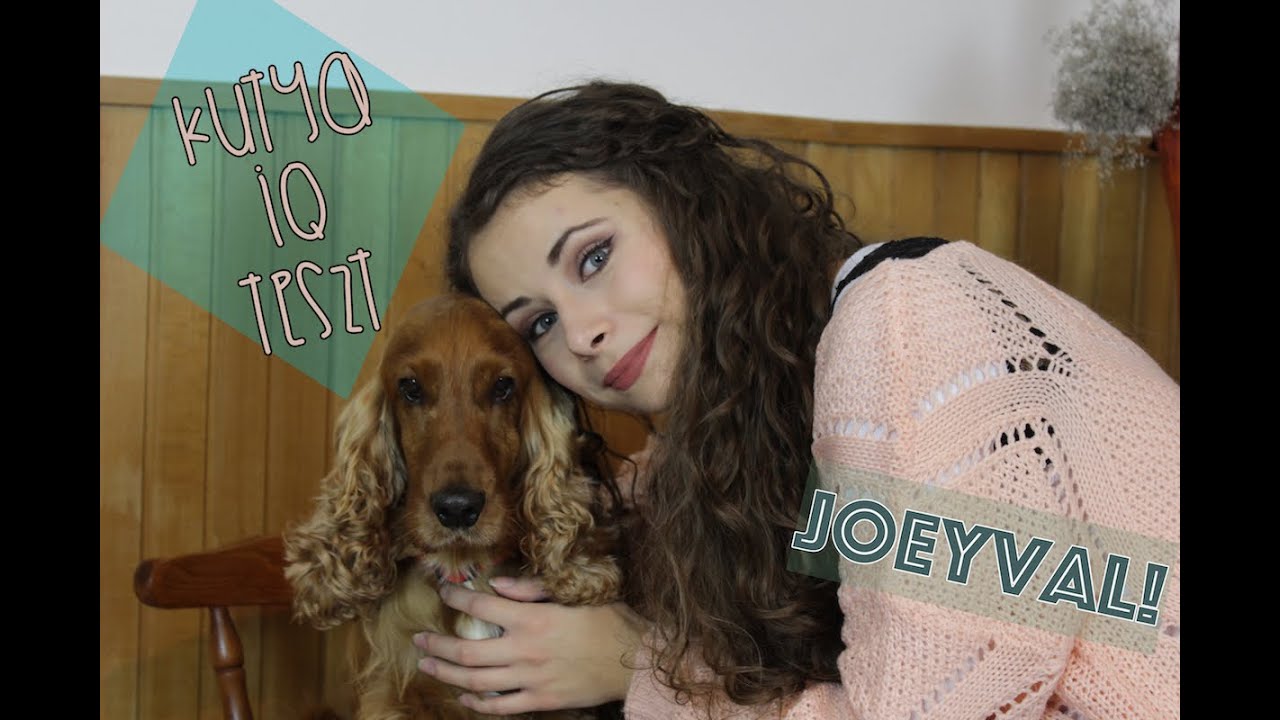Kutya intelligencia teszt Joeyval | Viszkok Fruzsi