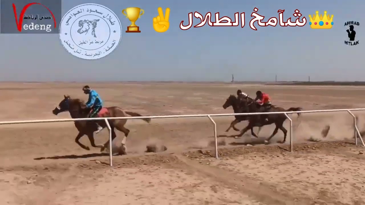 سباق الخيول العربية الأصيلة في مضمار المانع بتاريخ 2022/8/19 بطل الأبطال شآمخ الطلال ✌️👑🏆