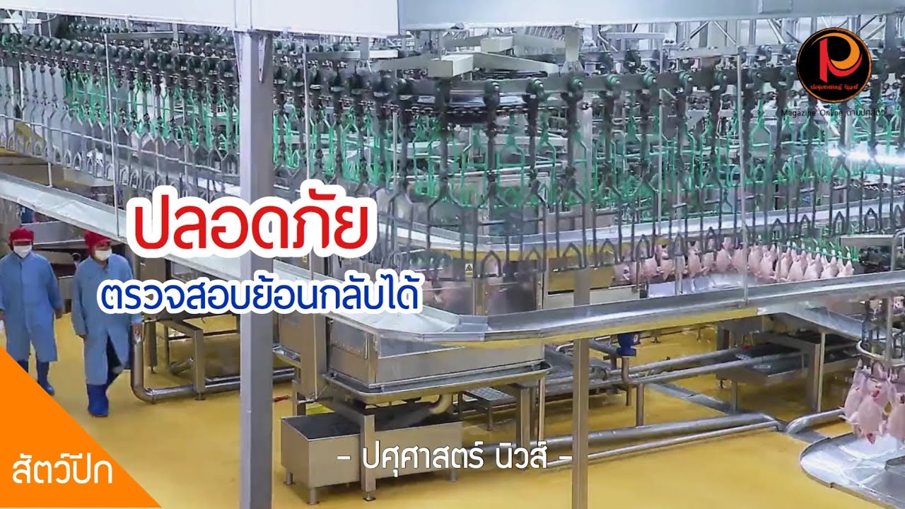 โรงงานแปรรูปเนื้อไก่ ‘ซีพีเอฟ’ มั่นใจปลอดภัยมาตรฐานระดับโลก | ปศุศาสตร์ นิวส์