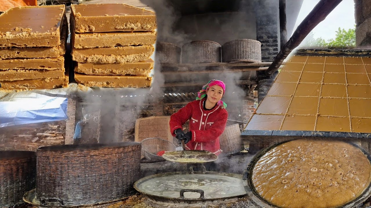 The process of making traditional, handmade cane sugar, take sugar to sell at market