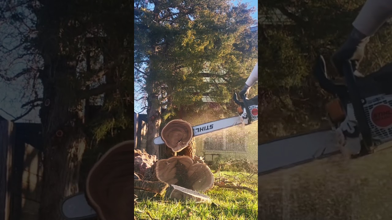 Can a Stock Stihl MS400c Pull a 32&rdquo; Bar? You Tell Me