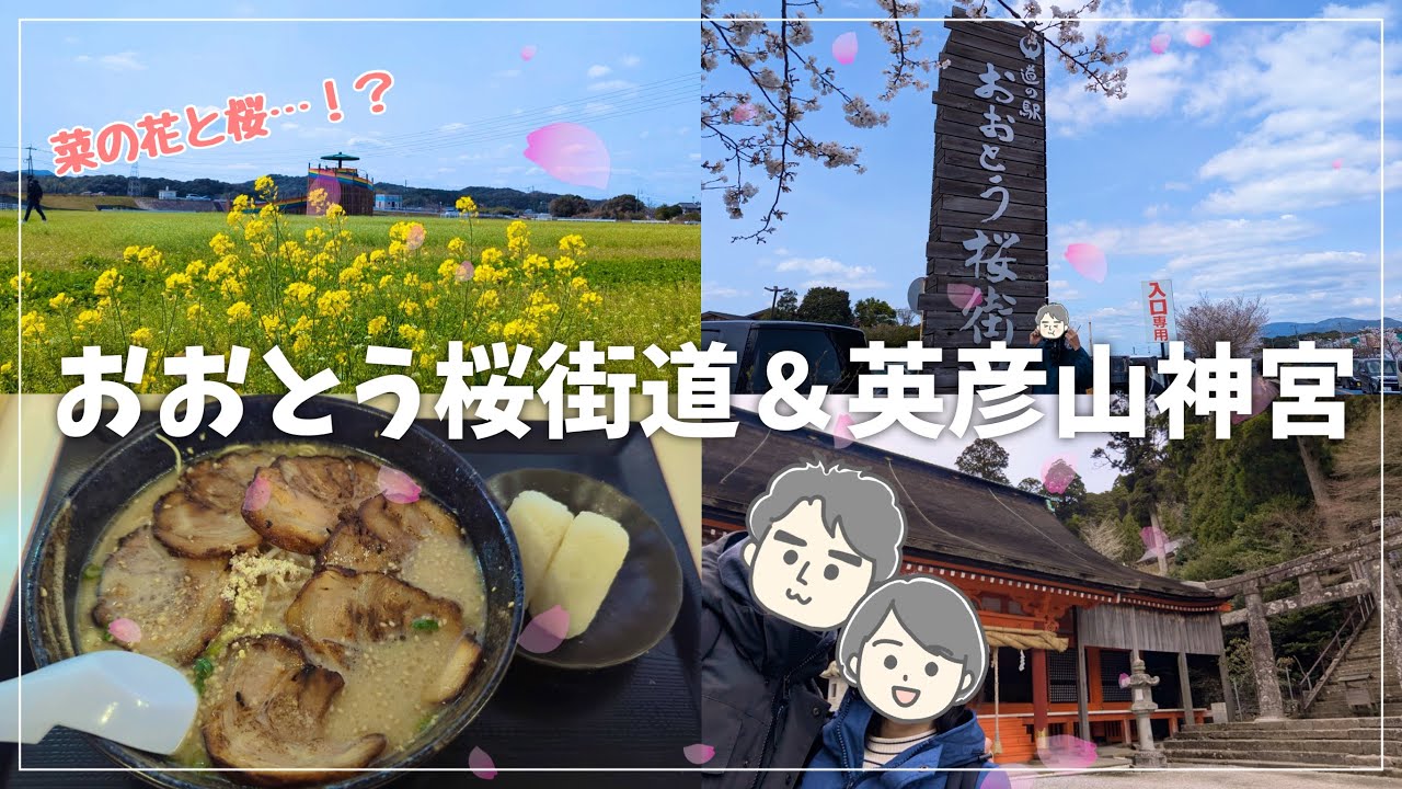 【福岡観光（筑豊）】おうとう桜街道でお花見＆英彦山神宮ドライブデート♪