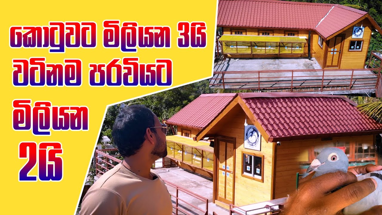 මෙන්න අලුත්ම තාක්ෂණයට හදපු ලංකාවටම තියෙන සුපිරි පරවි කොටුව | Pet Talk