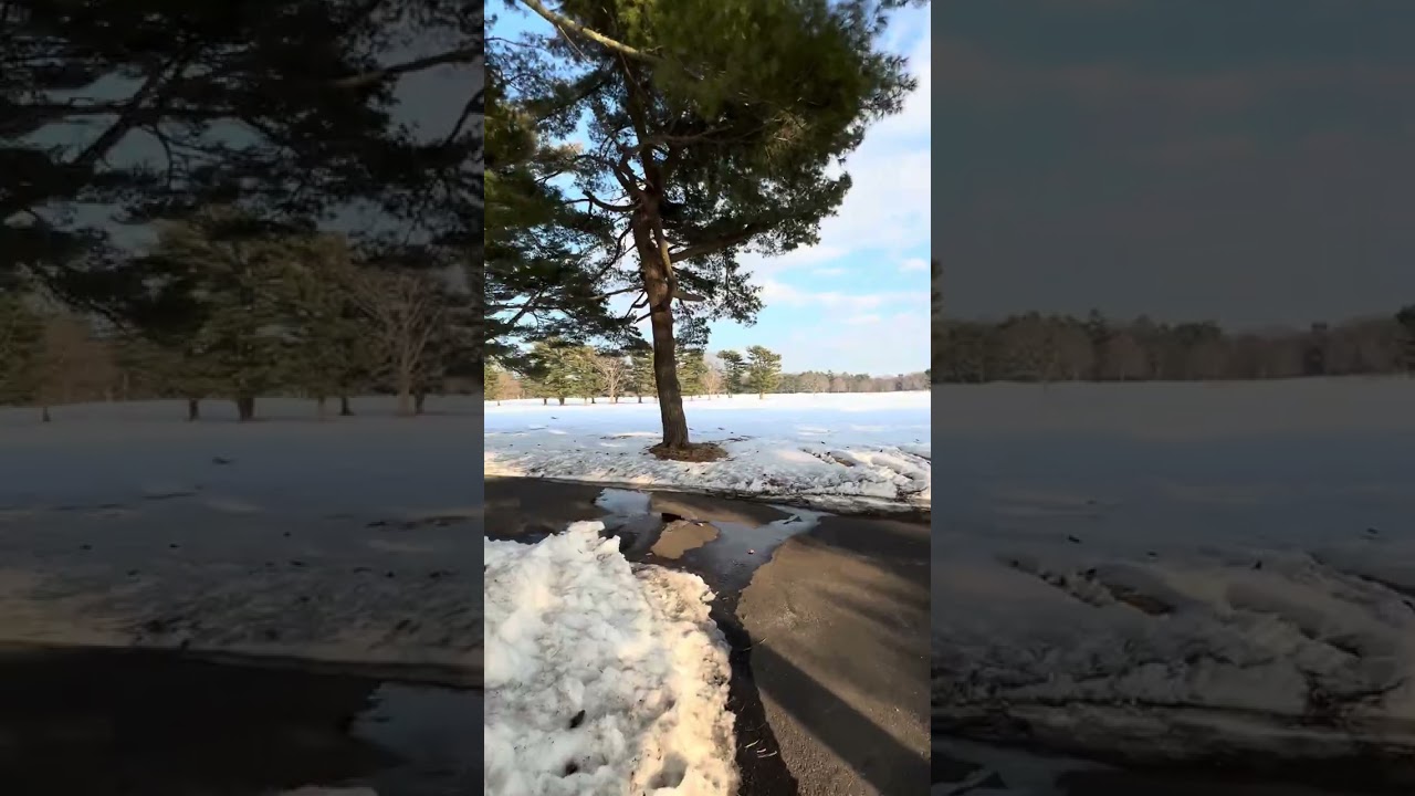 February 14, 2026 субботняя прогулка
