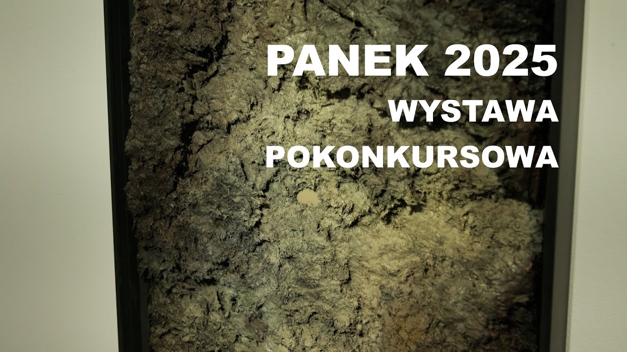 Wystawa pokonkursowa PANEK 2025 najlepszych prac dyplomowych na Wydziale Sztuk Pięknych UR w 2025 r.