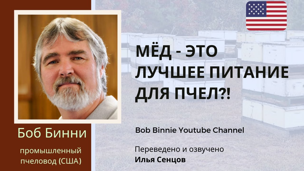 Можно ли кормить пчел сахаром? (лекция Боба Бинни) - Действительно ли мёд это лучший корм для пчел?