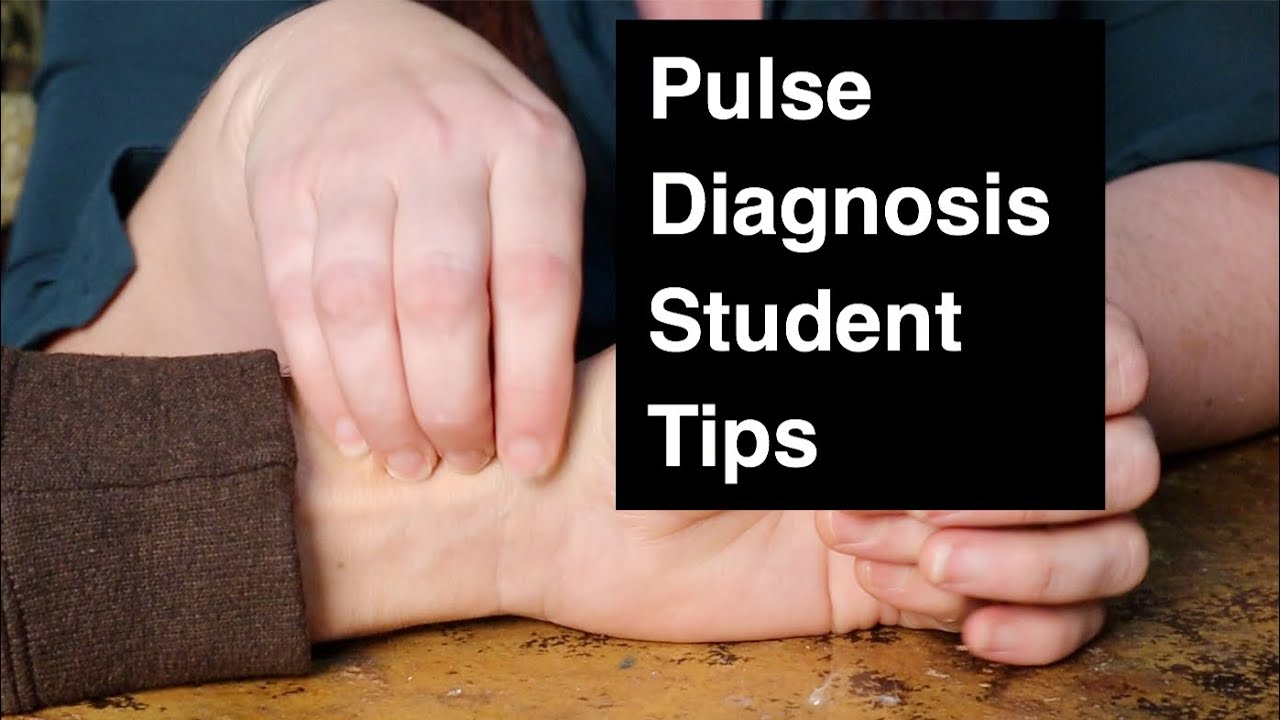 Let’s talk Pulse diagnosis for TCM students