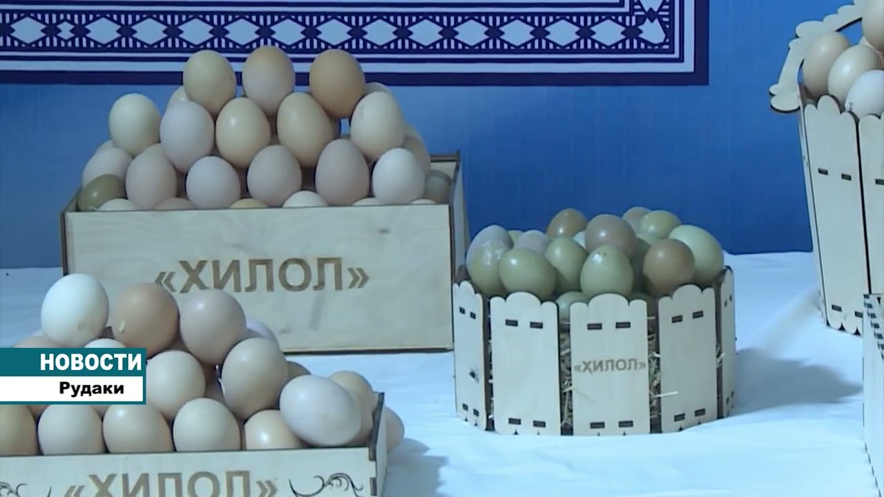 Новая птицефабрика в Районе Рудаки