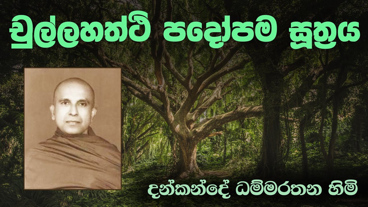 චුල්ලහත්ථි පදෝපම සූත්‍රය - දන්කන්දේ ධම්මරතන හිමි