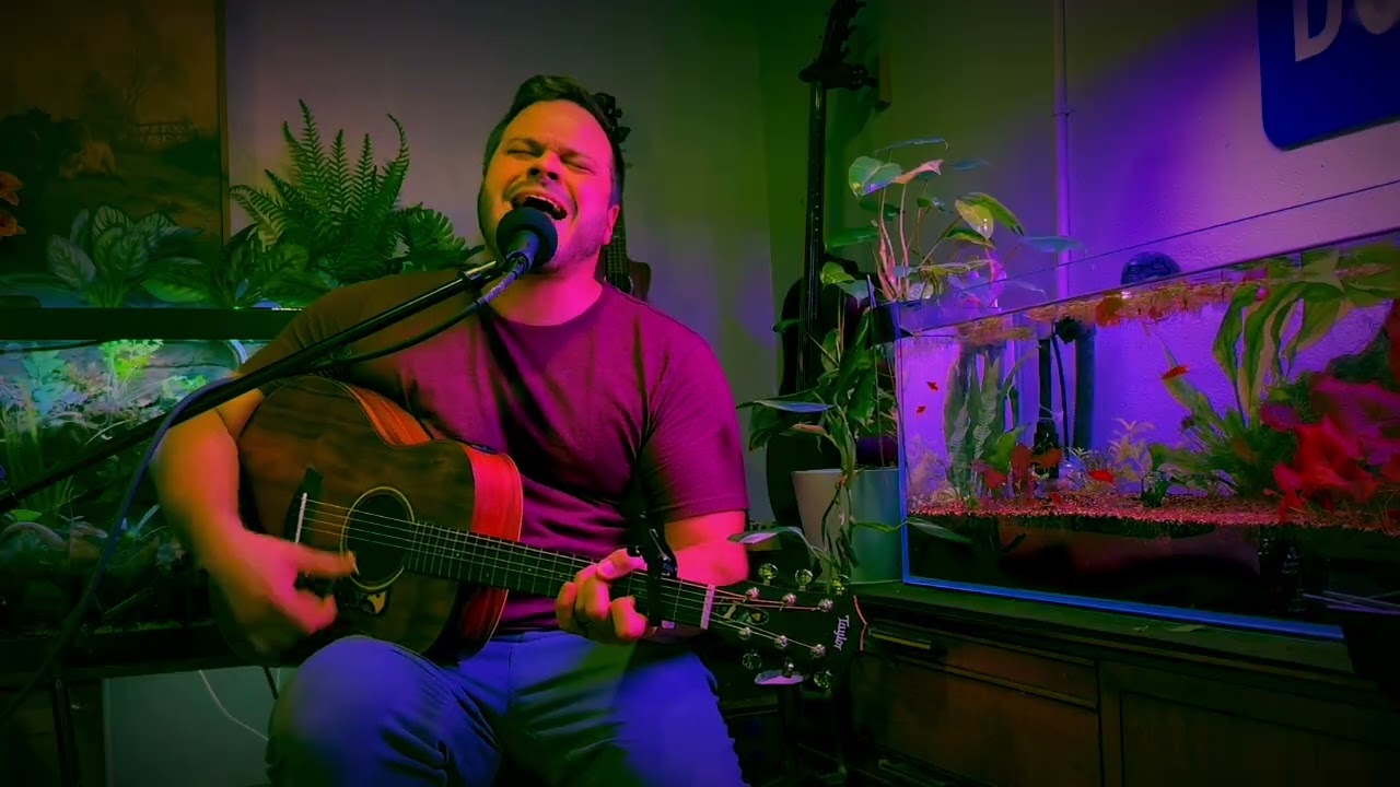 Follow You To Virgie - Tyler Childers (Cover by Matt Peaslee)