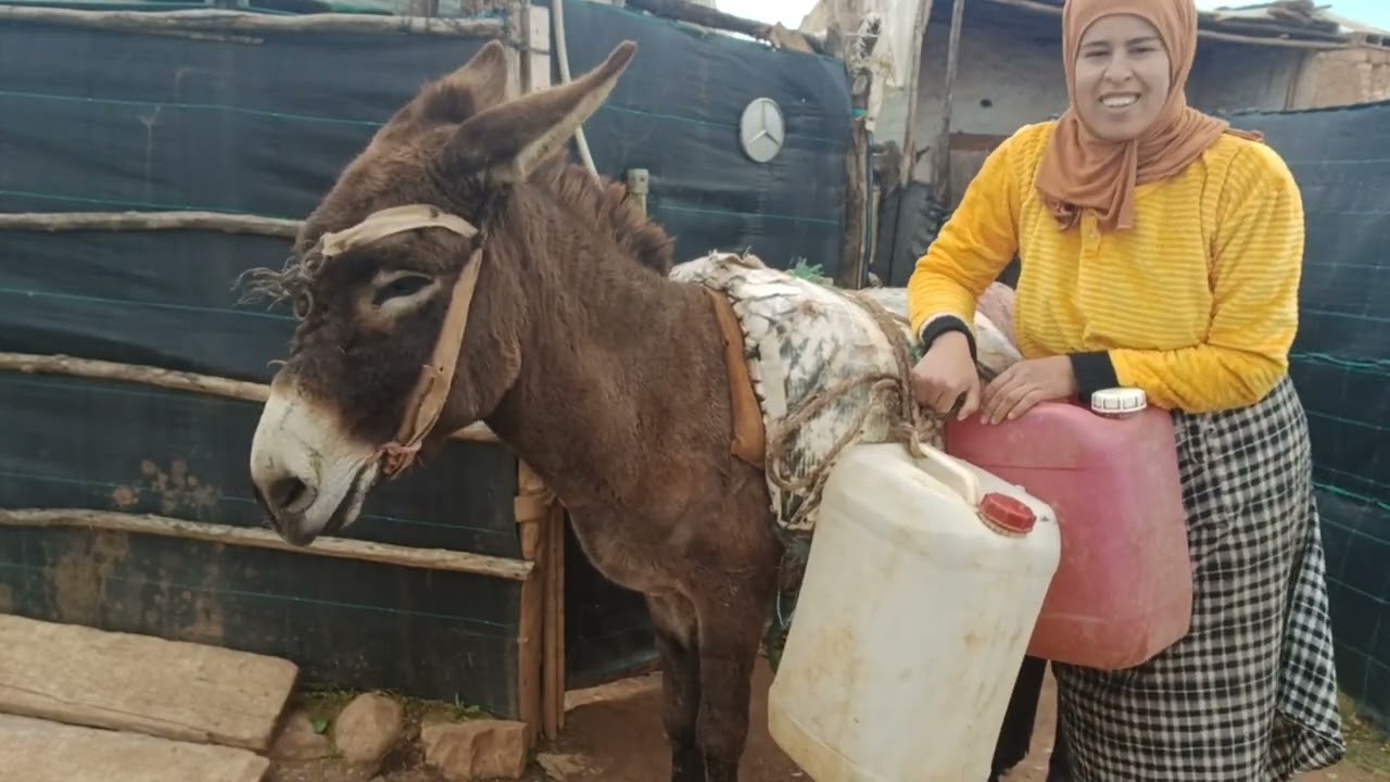 خوتي خواتاتي عندنا الشتاء بزاف وانا غاده نسقي على الحمار ما صناش منين ندوزوا حيت تقطعت علينا الطريق😪
