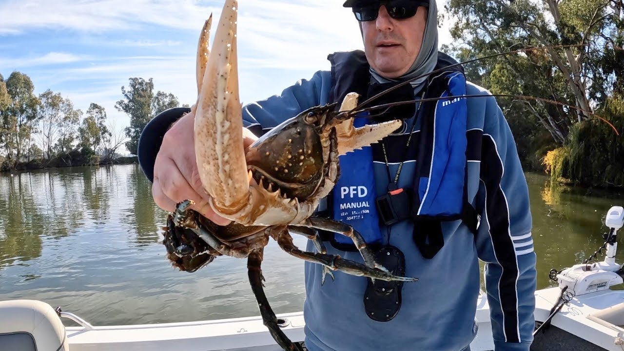 Monster Crayfish Fishing