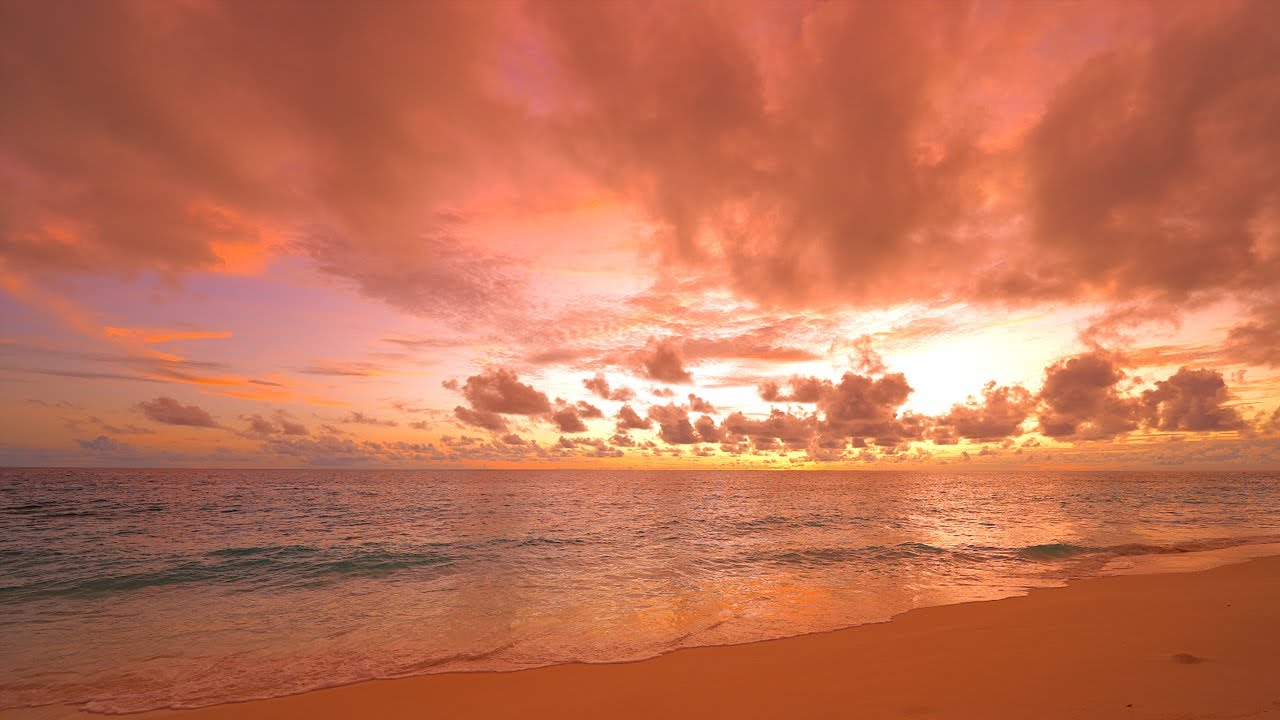 🏝 Seychelles  Shoals: The Most Relaxing Waves in The World